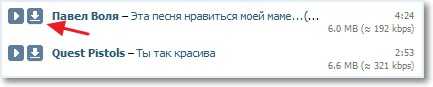 Проверяем VKontakte.ru Downloader