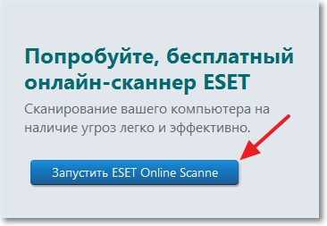 Запускаем ESET Online Scanner