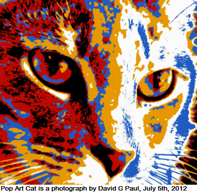 Фото в стиле поп-арт.