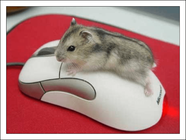 Как настроить чувствительность мыши в Windows 10.