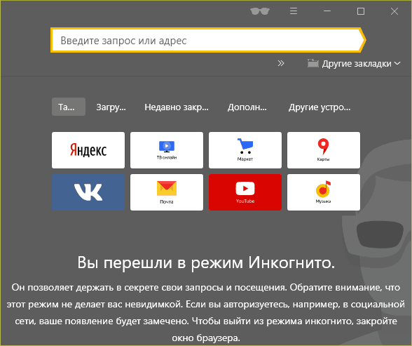 Вид приватного окна в Яндекс.Браузере.