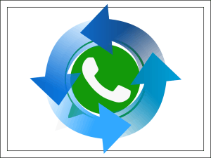 Как восстановить сообщения в Whatsapp.