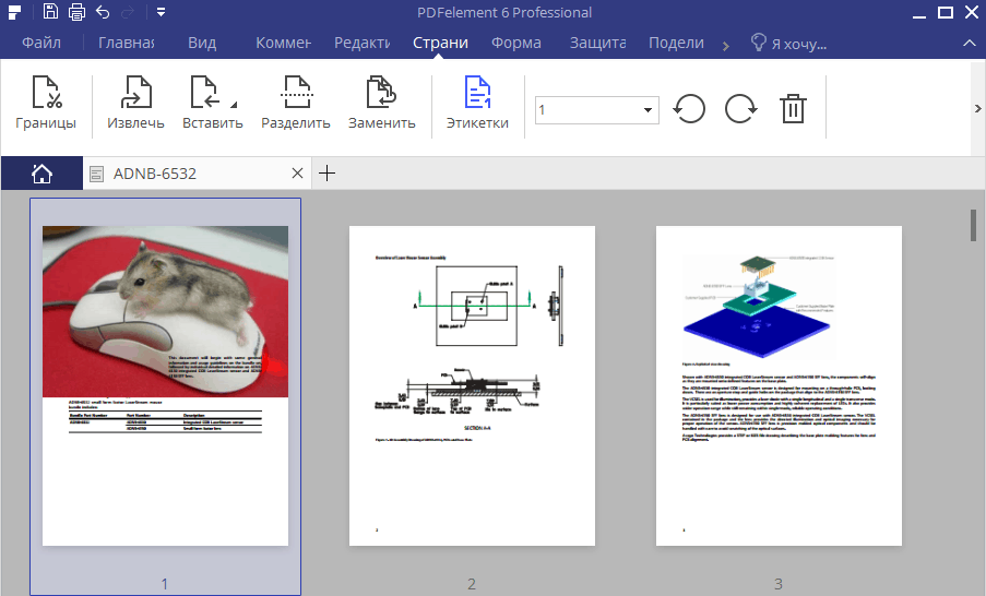 Вкладка Страницы.